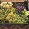 винограда Чарос готов к поставке оптом в Новосибирске