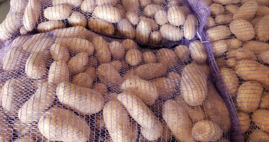 фотография продукта Картофель оптом из Брянской области