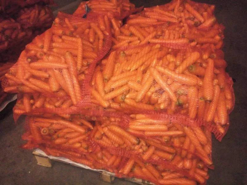 фотография продукта Оптовая партия моркови желтой 