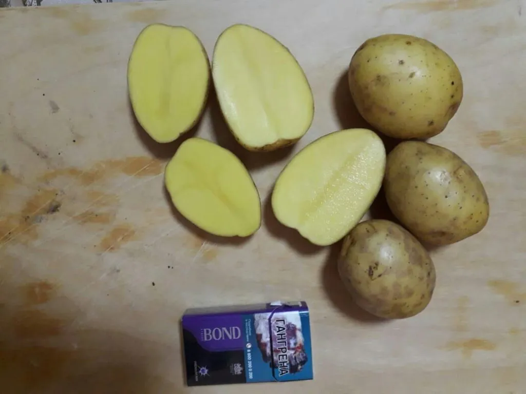 фотография продукта Картофель оптом 5+ валом и в сетках 