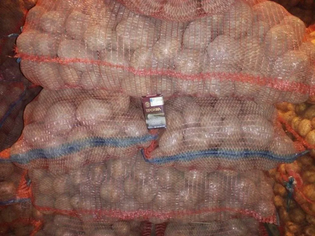 картофель в Минусинске