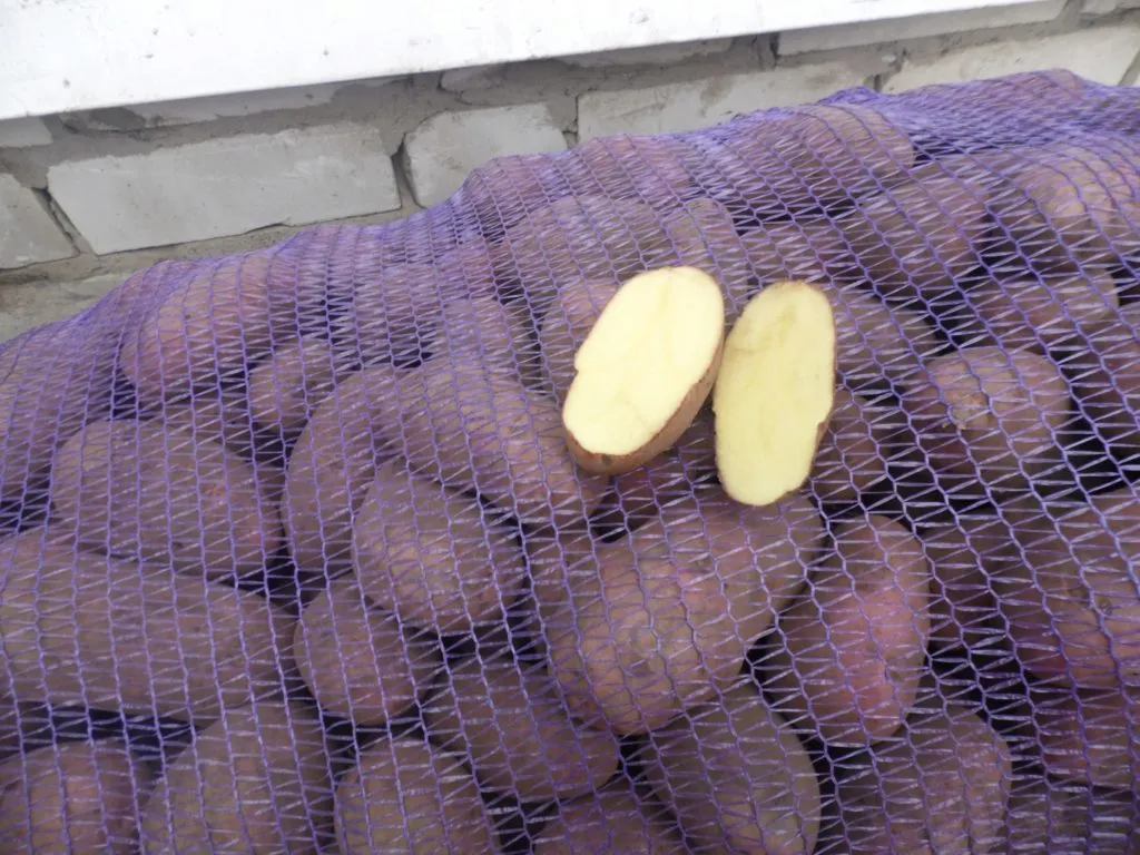 картофель в Дзержинском