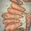 морковь абако, кордоба  оптом в Белогорске 2