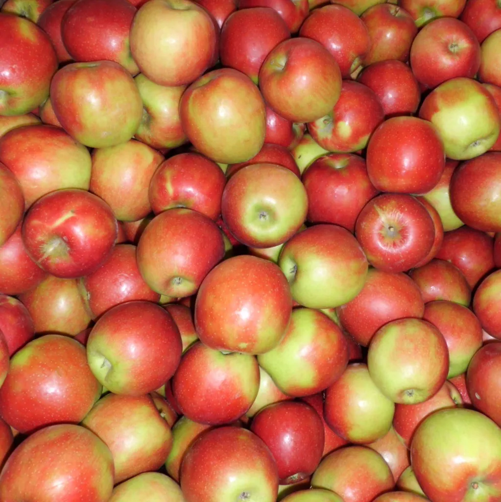 яблоки Кримсон  в Екатеринбурге