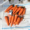 морковь  в Волгограде 5