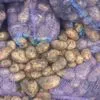 картофель оптом без болезней в Краснодаре