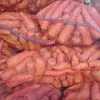 морковь оптом от производителя в Чебоксарах