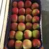 яблоки на складе в Москве в Москве