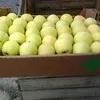 яблоки голден гренни симеренко опт Крым в Белогорске