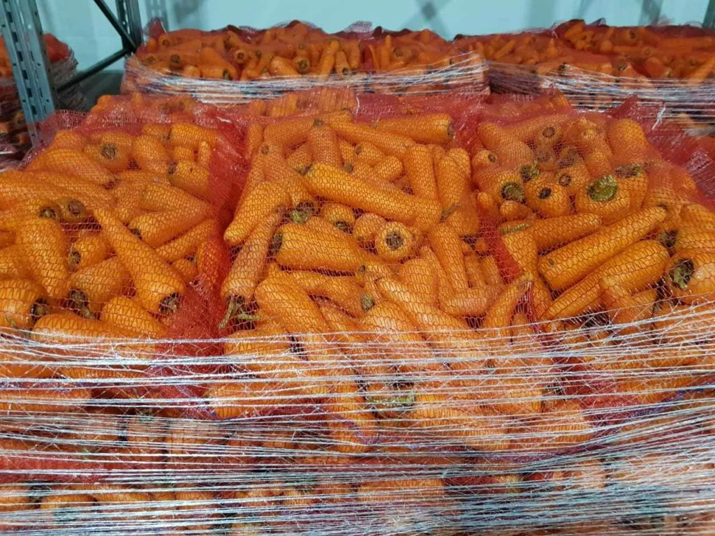 фотография продукта Морковь грязная и мытая оптом от 20 тонн