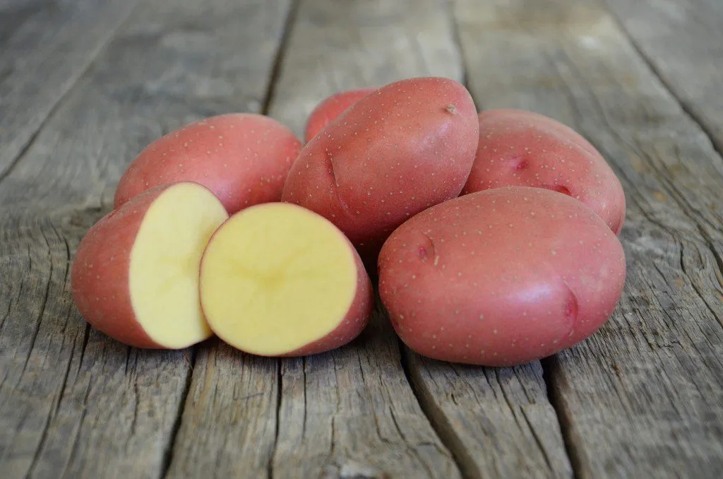 Фотография продукта Семенной картофель