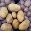 картофель продовольственный  в Республике Беларусь