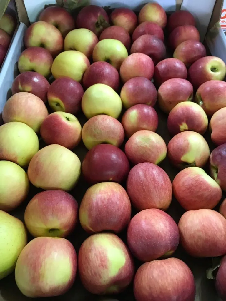 фотография продукта Продажа яблок ОПТОМ 