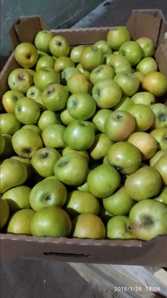 яблоки голден, гренни,симеренко опт в Симферополе 5