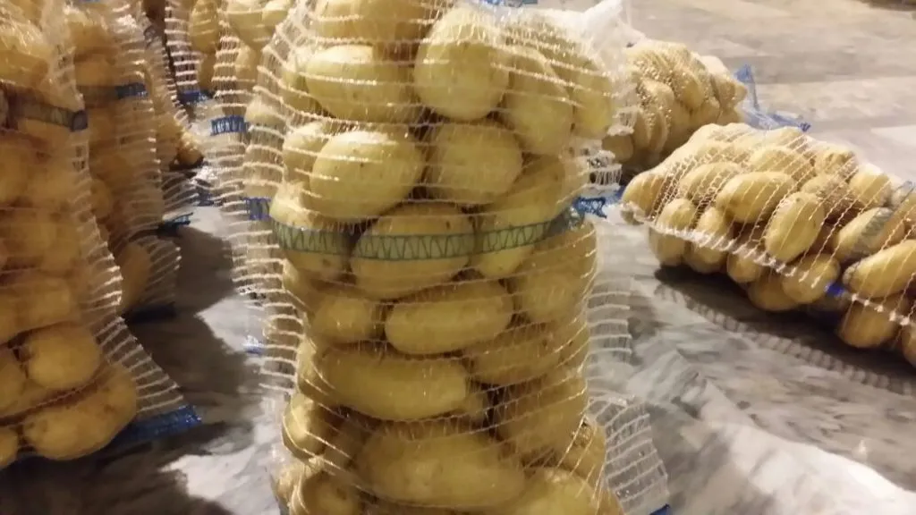 продаю свежий картофель (Пакистан) в Таиланде 3