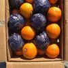свежие апельсины! в Самаре
