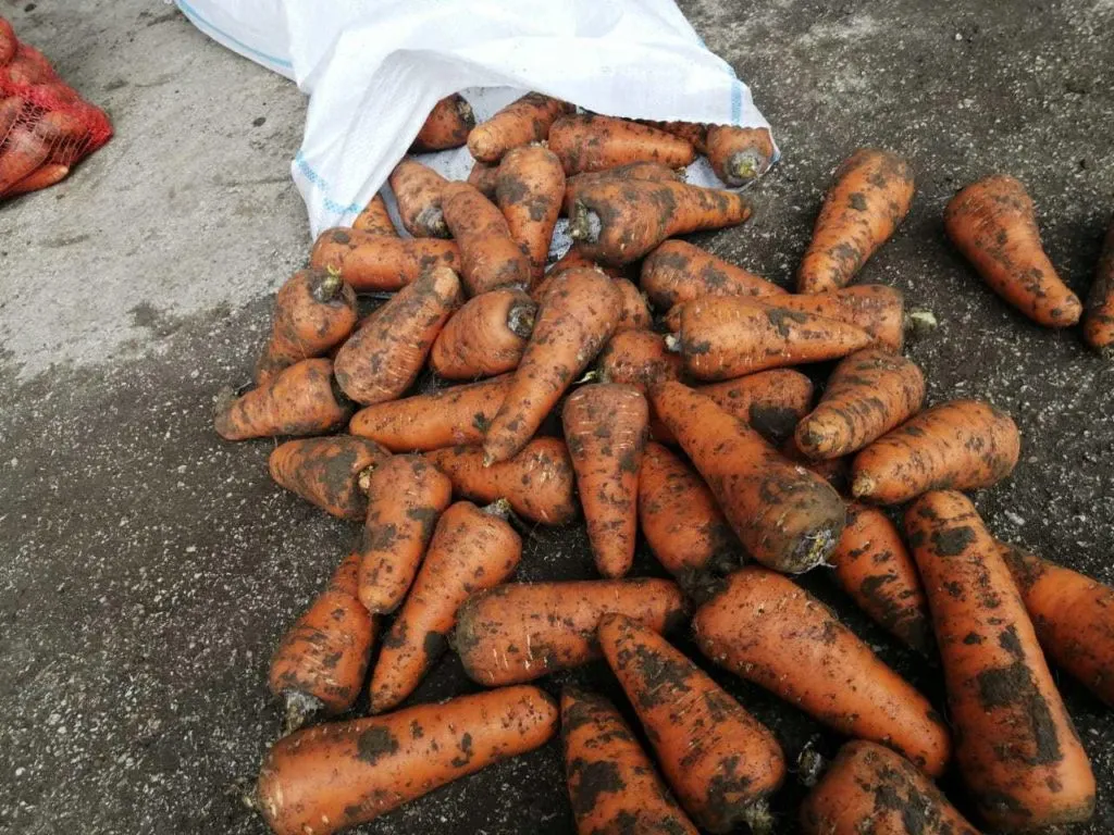 фотография продукта Морковь 1, 2 сорт крупная, мелкая