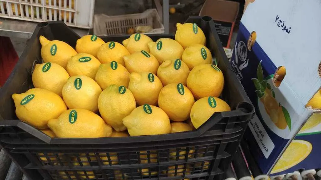 фотография продукта Лимон адалия