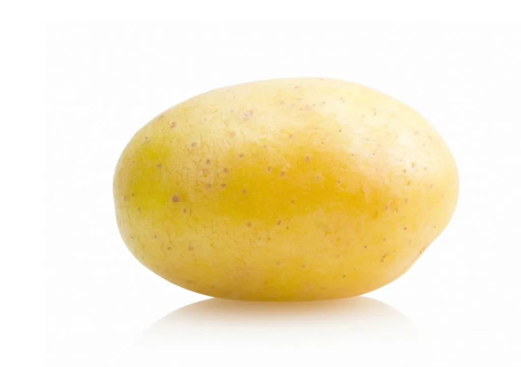 Фотография продукта Элитный семенной картофель Ривьера РС1