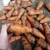 морковь Крым оптом в Симферополе 4