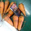 морковь Крым оптом в Симферополе 3
