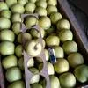 яблоки голден,симеренко,фуджи,флорина в Симферополе 4