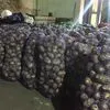 картофель оптом от производителя 11 руб в Иркутске 3