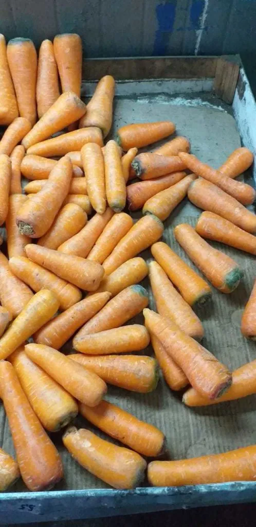 фотография продукта Морковь мытая 