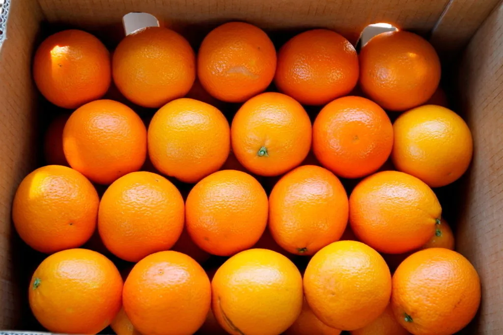 фотография продукта Апельсин отборный