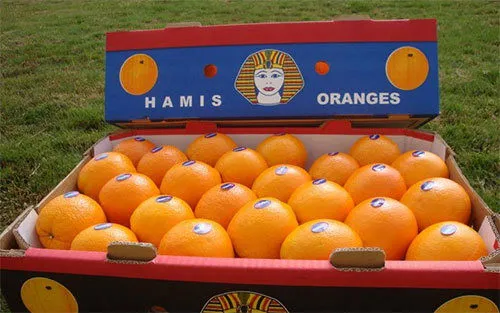 фотография продукта Апельсин оптом