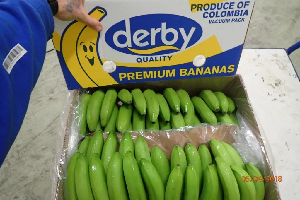 бананы  Эквадора, Колумбии, Коста-Рики в Эквадоре 4