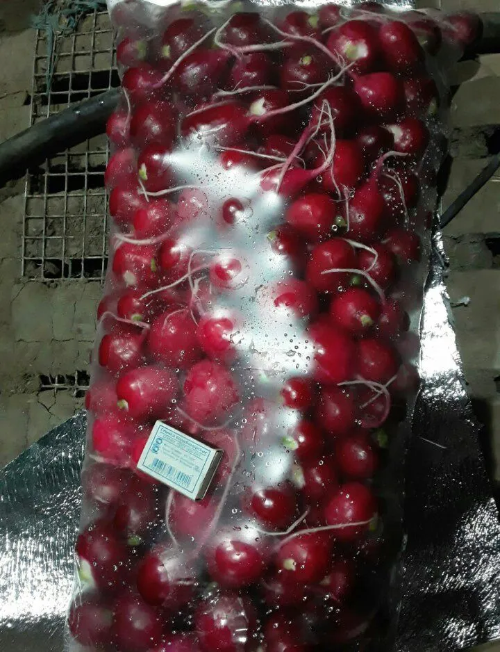 фотография продукта Овощи и фрукты оптом по лучшим ценам