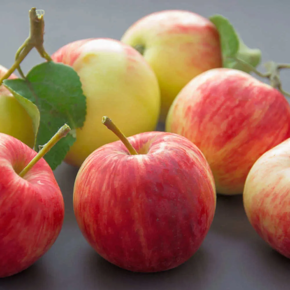 фотография продукта Оптовая поставка яблок