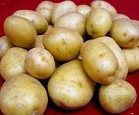 Фотография продукта Молодой картофель оптом