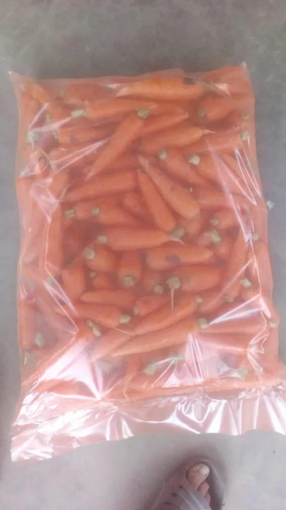 фотография продукта Мытая морковь 500 тонн
