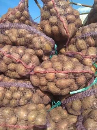 фотография продукта Картофель, Капуста, морковь, свекла,лук 