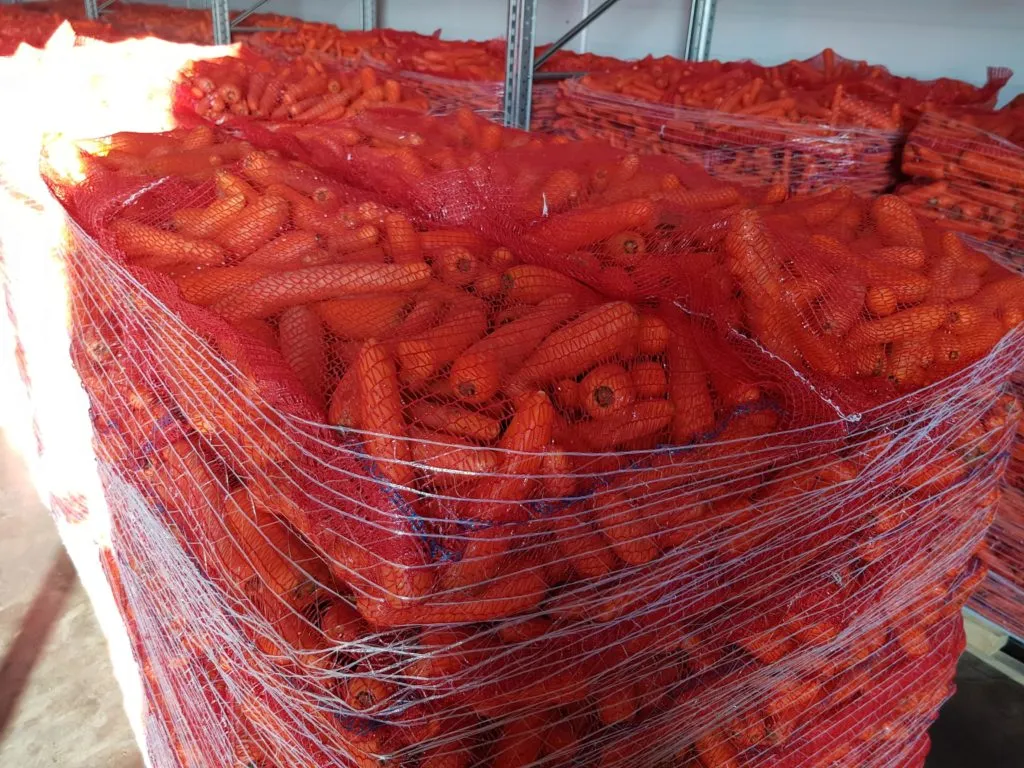 фотография продукта Морковь оптом 2023