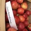 яблоки оптом 25р/кг в Белгороде