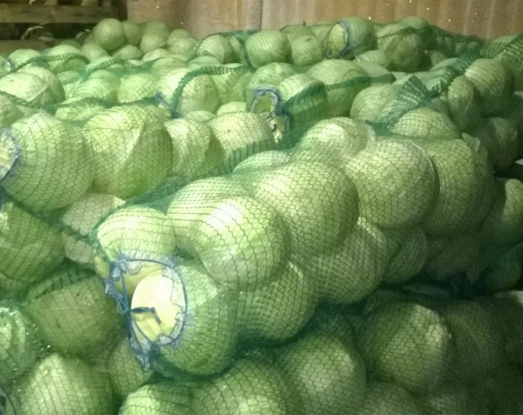 фотография продукта Капуста белокочанная урожай 2019 года