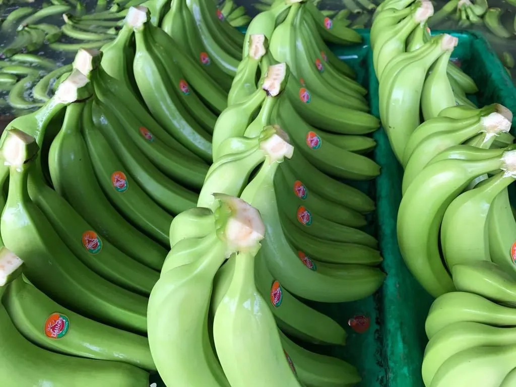 фотография продукта Банан Эквадор