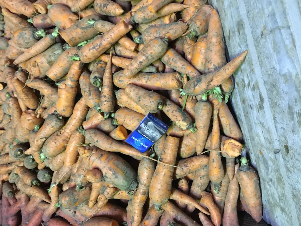 фотография продукта Морковь( не стандарт).