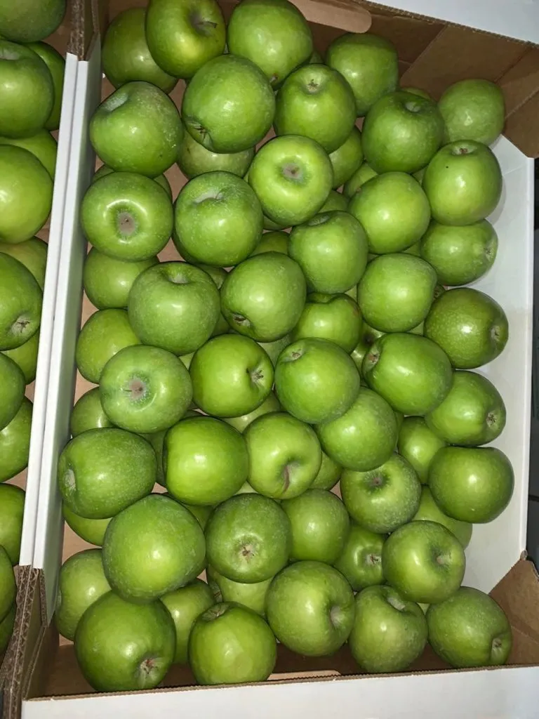 фотография продукта Продам яблоки 1 сортов