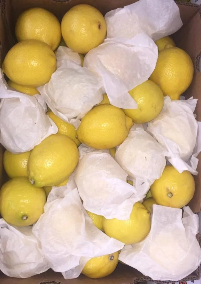 фотография продукта Лимон Аргентина и ЮАР
