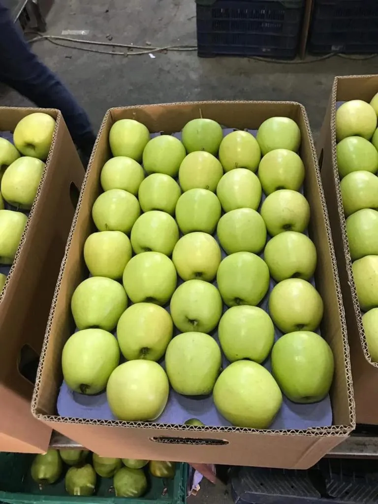 фотография продукта Продаем яблоки разных сортов
