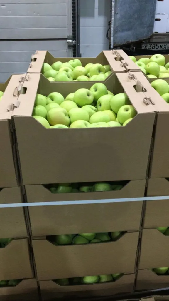 фотография продукта Гофролотки для фруктов и овощей