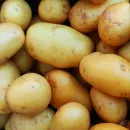 Азербайджан впервые экспортировал картофель в Белоруссию