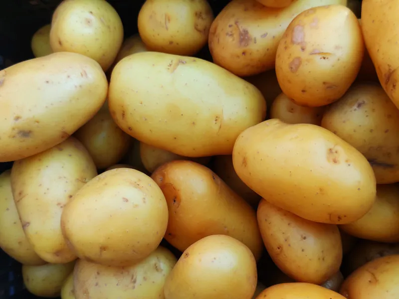 Азербайджан впервые экспортировал картофель в Белоруссию