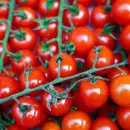 2 случая обнаружения вируса коричневой морщинистости плодов томата в белорусском экспорте