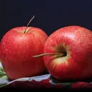 Ощутимый вклад в развитие российского рынка яблок вносит компания «Агроном-Сад»