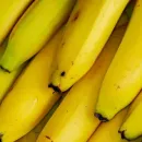Эквадорские бананы пройдут дозревание в Испании для лучшего качества по немецкой технологии
